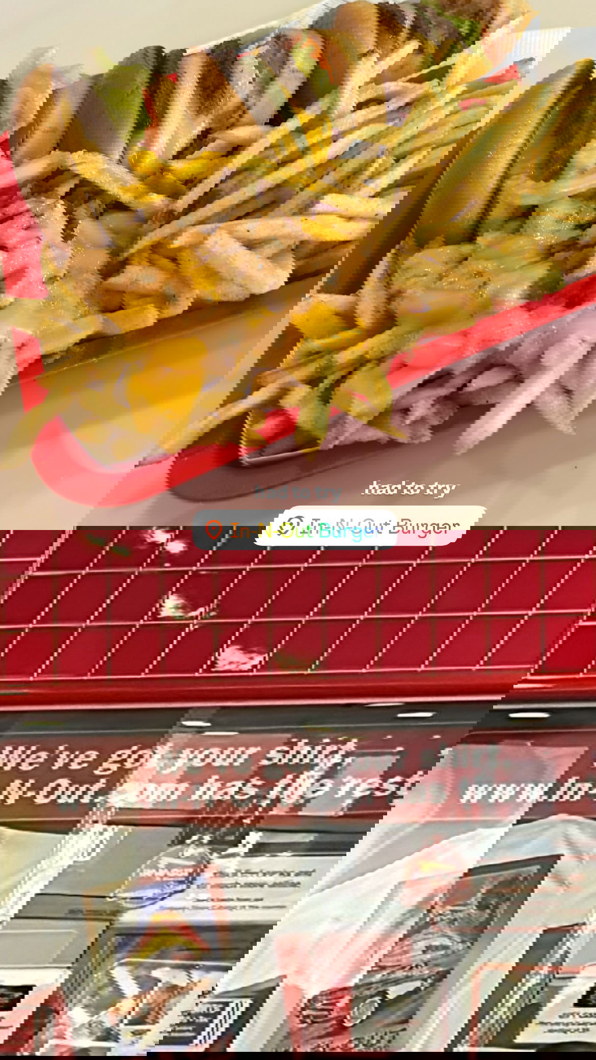 elsgatti instagram image archive image