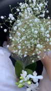 elsiearaujoo Altpins Profile Picture