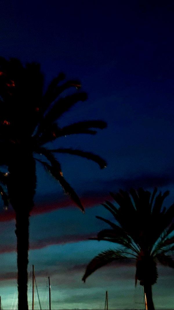 elymexx instagram image archive image