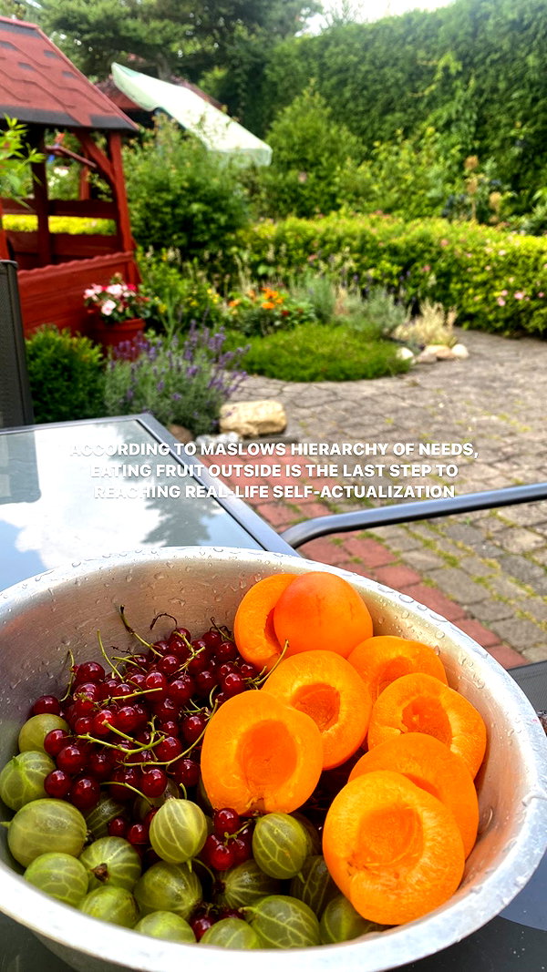 emiliawesolowski instagram image archive image