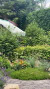 emiliawesolowski Altpins Profile Picture