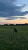 emiliawesolowski Altpins Profile Picture