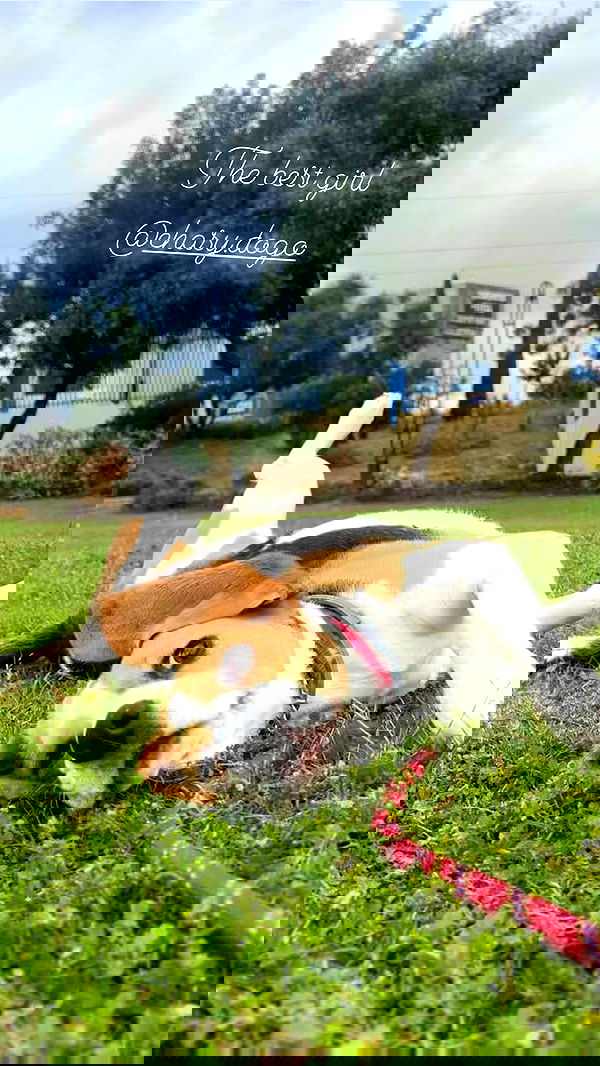 emily.otaku emily.otaku archive image