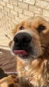 emilyhoperr Altpins Profile Picture
