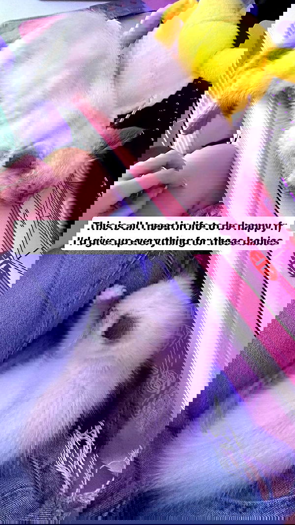 emxllouise2 image ~ Altpins