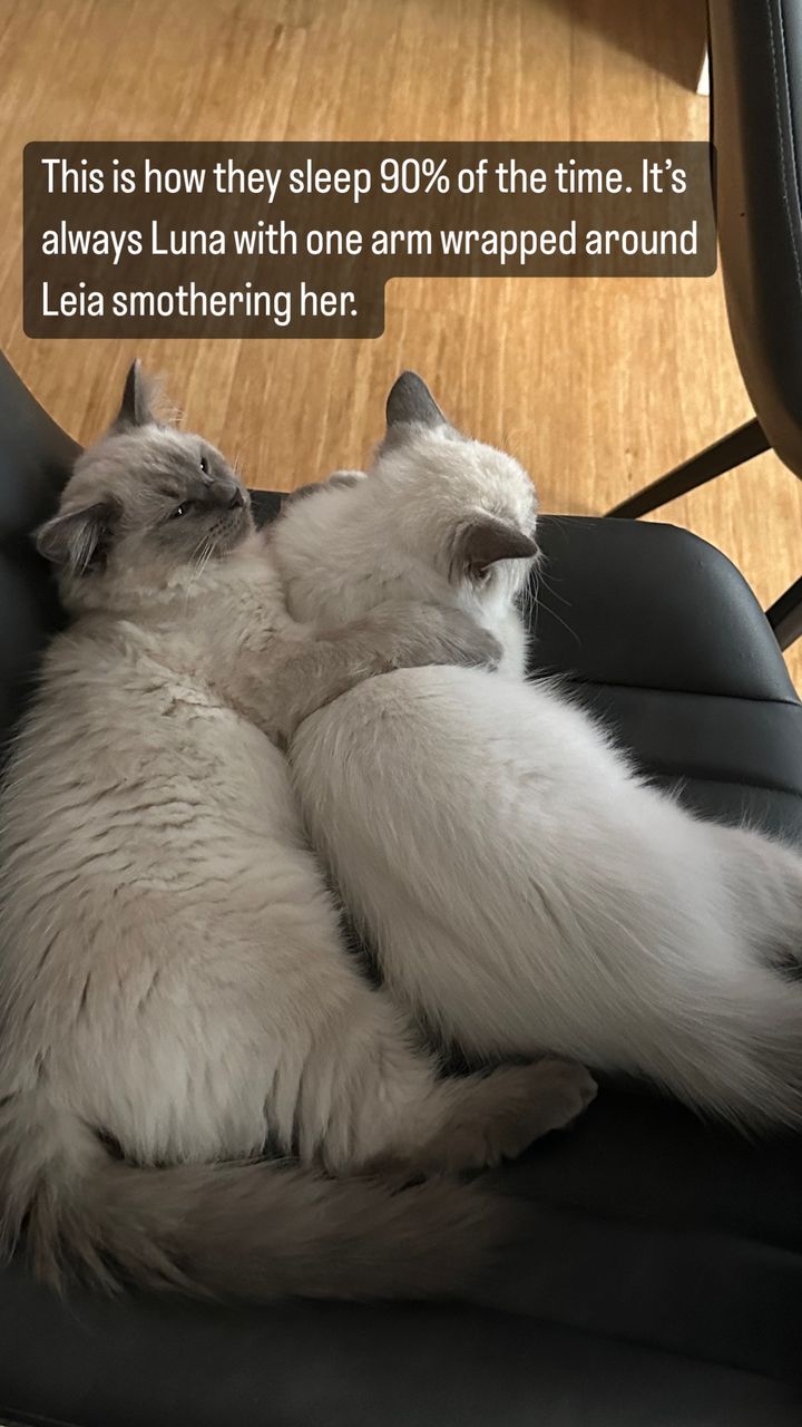 emxllouise2 instagram image archive image