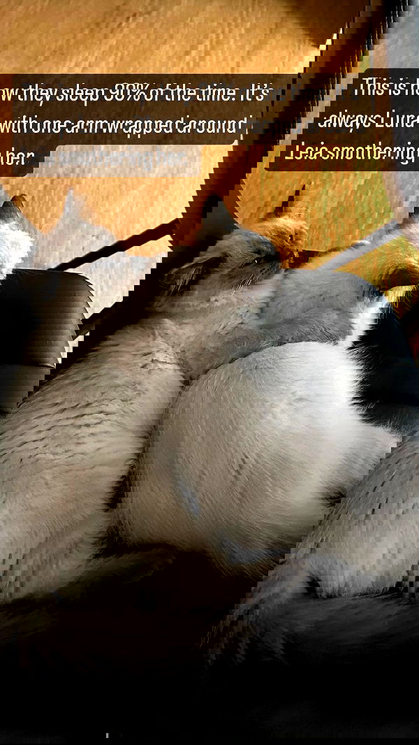 emxllouise2 image ~ Altpins