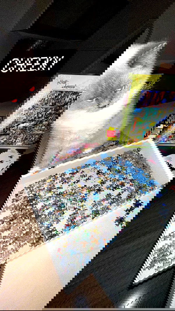 emxllouise2 image ~ Altpins