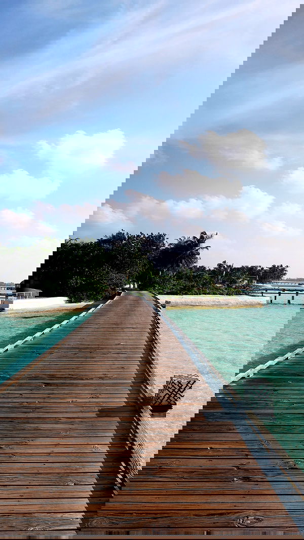 emxllouise2 image ~ Altpins