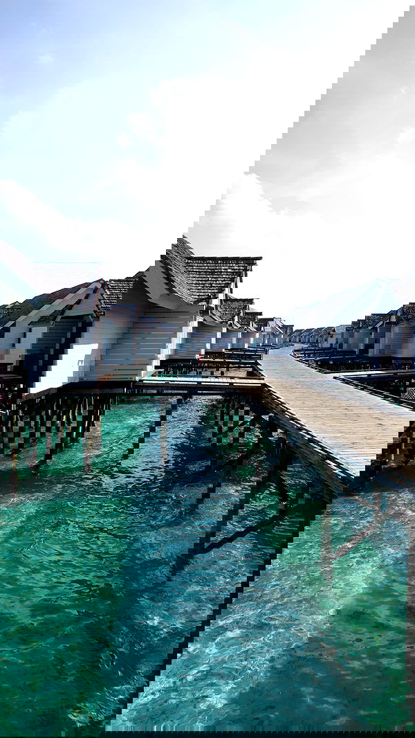 emxllouise2 image ~ Altpins