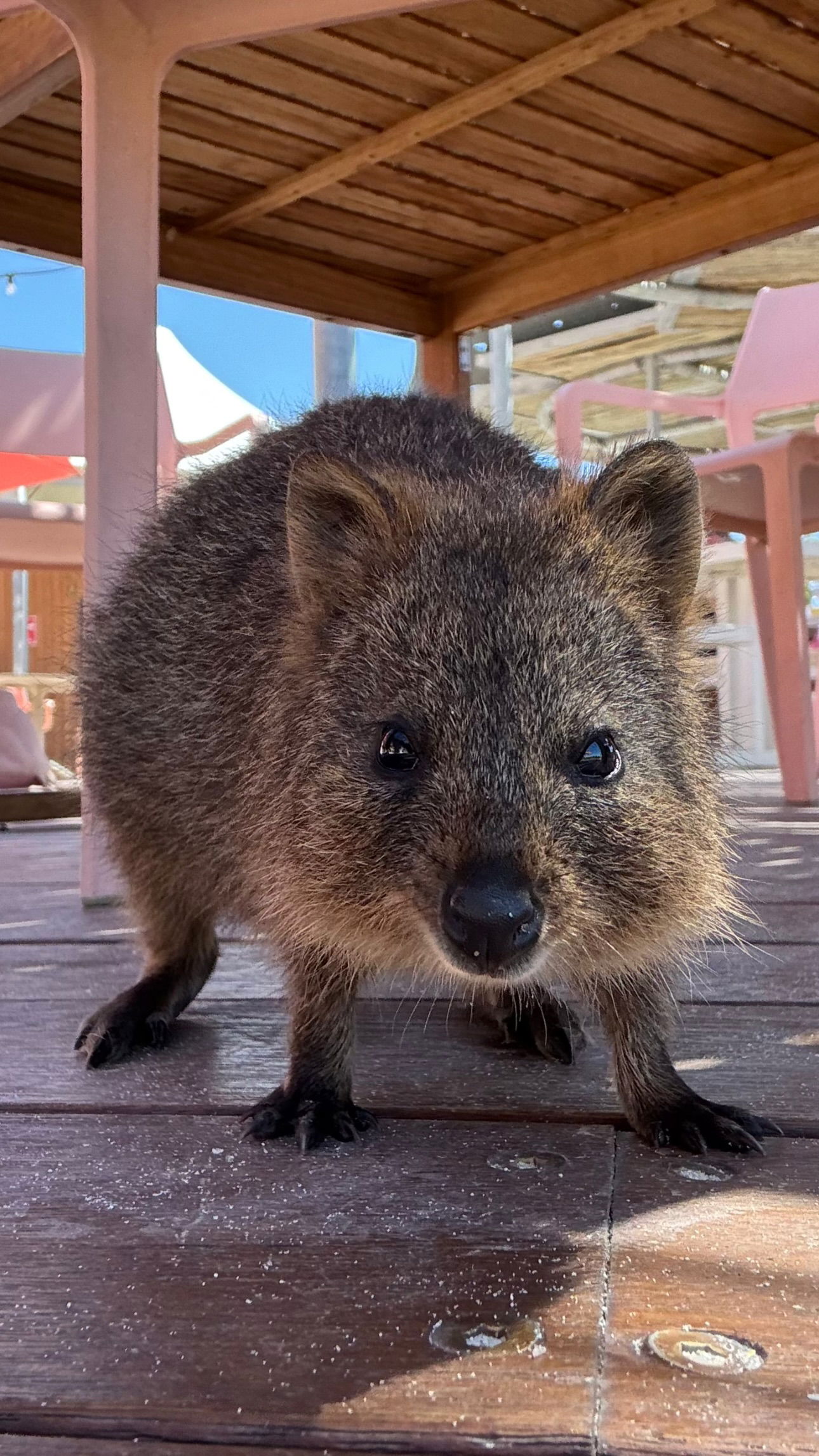 emxllouise2 instagram image archive image