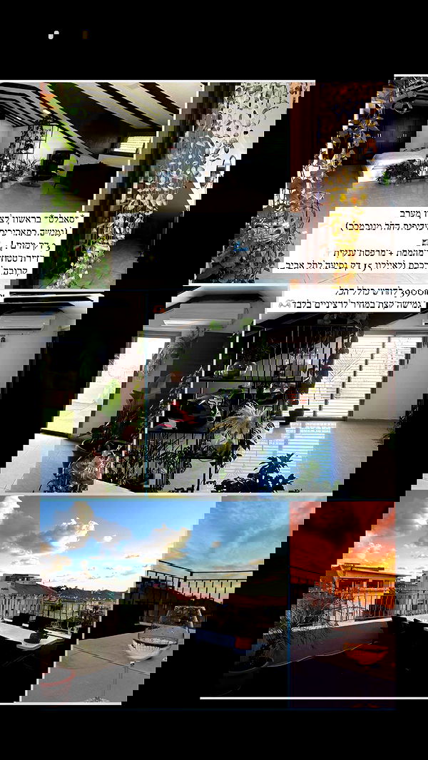 eveliniya eveliniya archive image