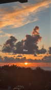 everyonelovessi Altpins Profile Picture