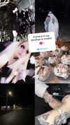 eviispirit Altpins Profile Picture