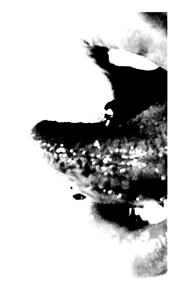 faeryfatale instagram image archive image