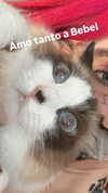fegalvao_ Altpins Profile Picture