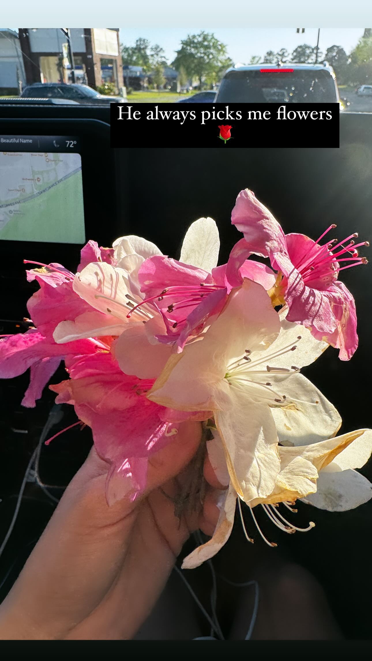 fitness_nala instagram image archive image