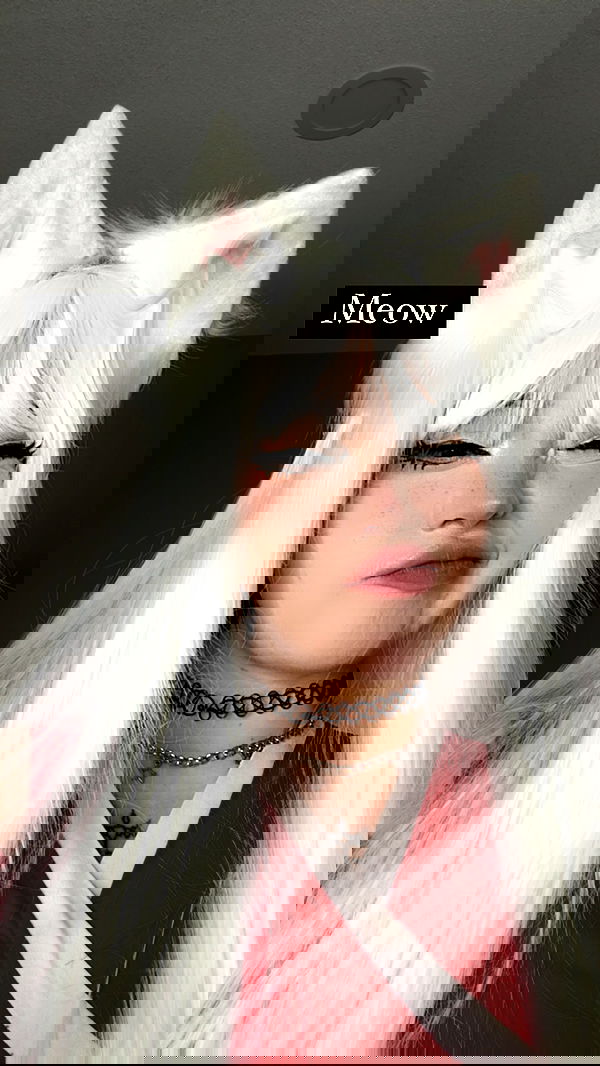 flarebahr flarebahr archive image