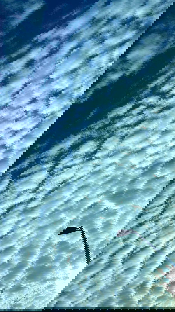 g.a.l.1.a g.a.l.1.a archive image