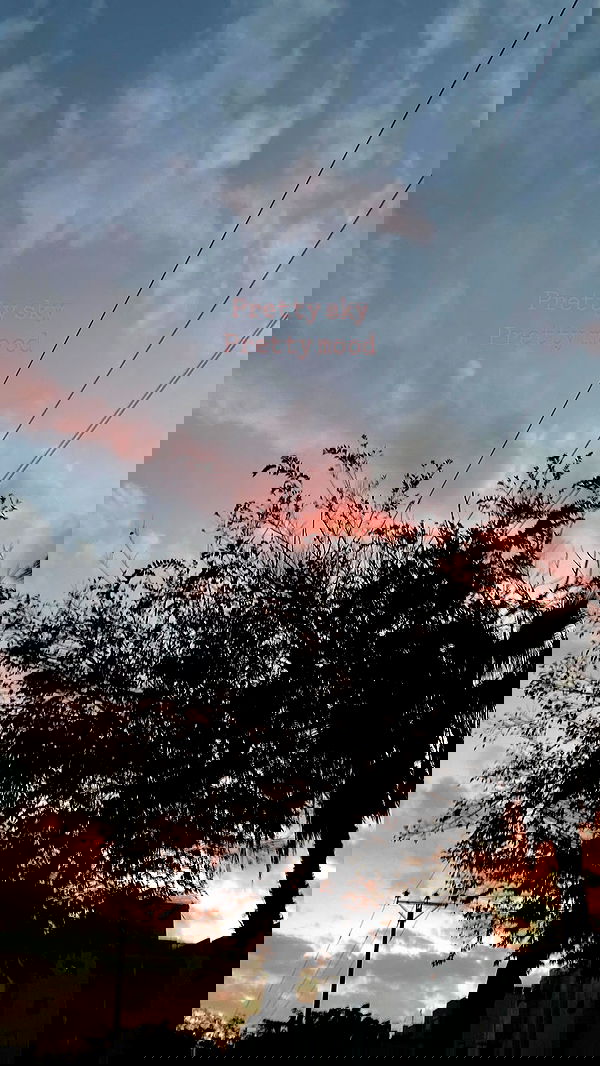 g.a.l.1.a g.a.l.1.a archive image