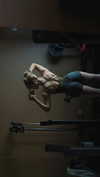 gabiciamp Altpins Profile Picture