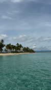 gali_azuolay Altpins Profile Picture
