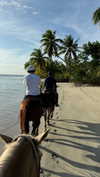 gali_azuolay Altpins Profile Picture