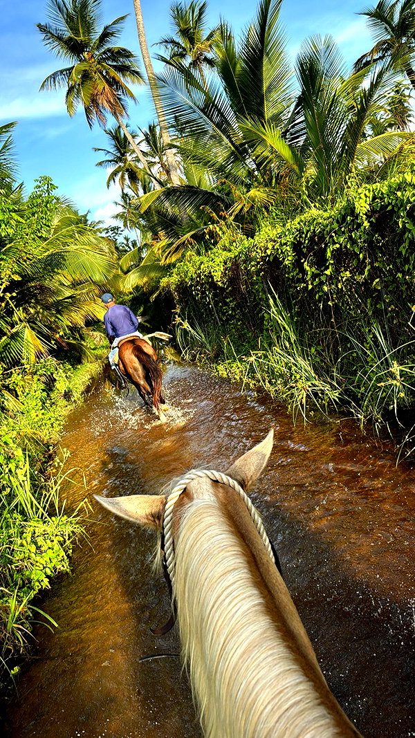 gali_azuolay instagram image archive image