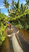 gali_azuolay Altpins Profile Picture