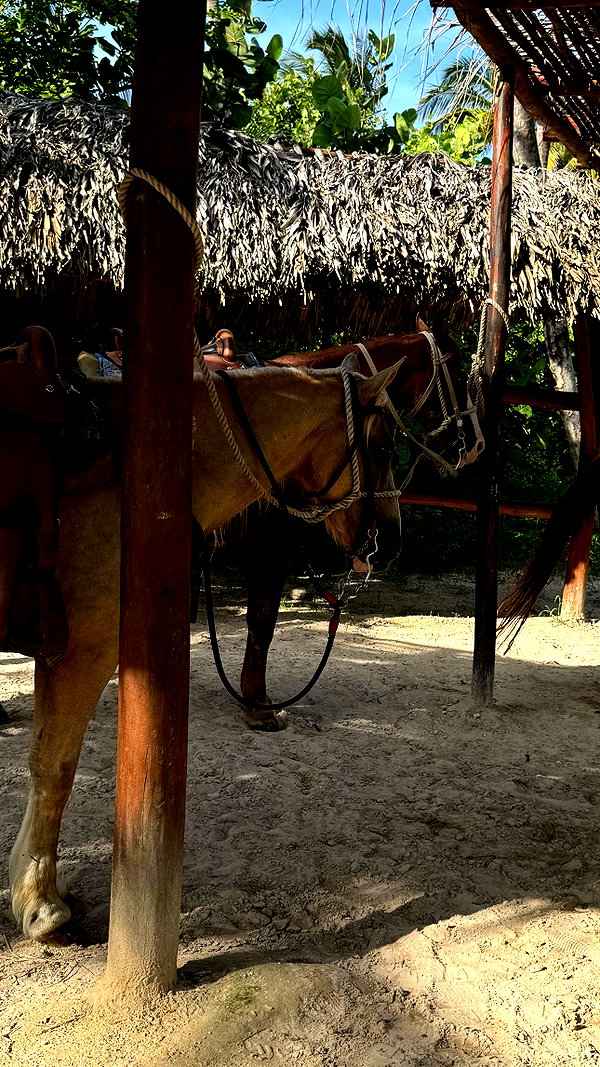 gali_azuolay instagram image archive image