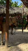 gali_azuolay Altpins Profile Picture