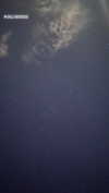 galina.dub Altpins Profile Picture