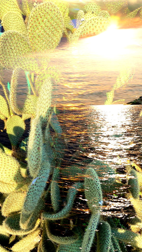 giorjja instagram image archive image