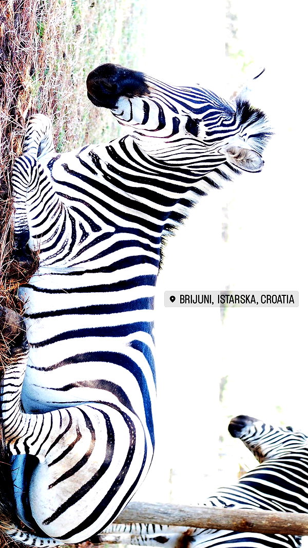 giorjja instagram image archive image