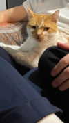 giorjja Altpins Profile Picture