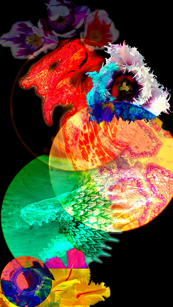 giorjja instagram image archive image