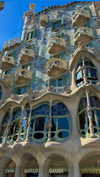 giulia.monico Altpins Profile Picture