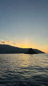 giulia.monico Altpins Profile Picture