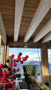 giulia.monico Altpins Profile Picture