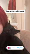 graveyxrdbby Altpins Profile Picture