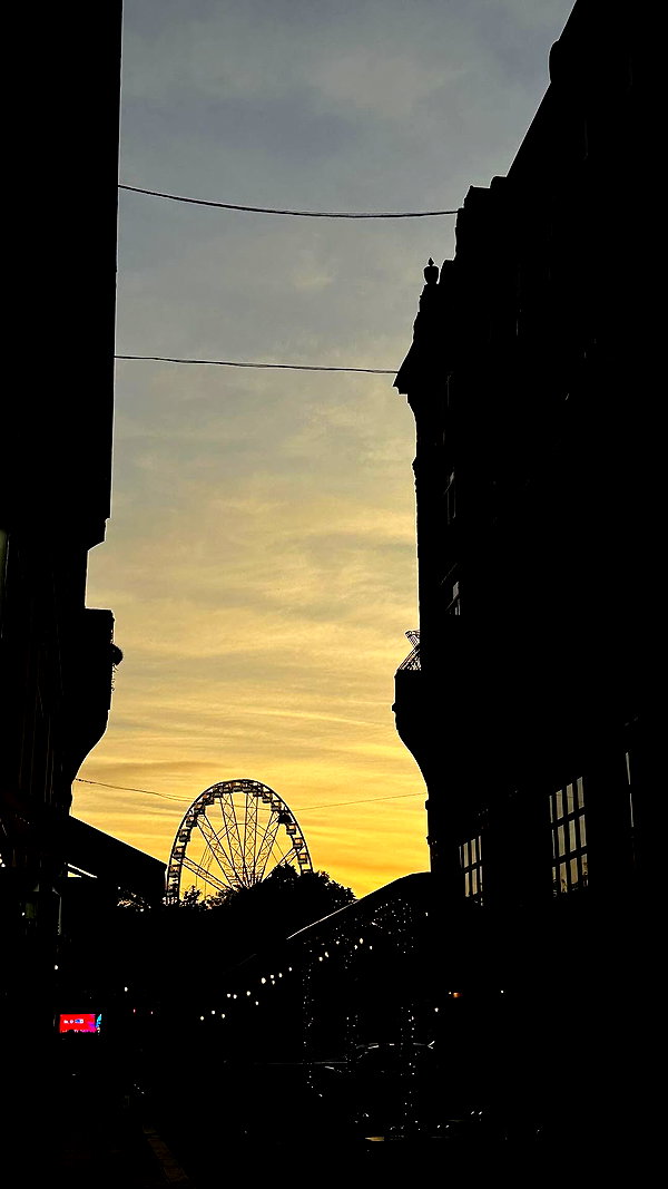 hagarschubert instagram image archive image
