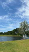 hagarschubert Altpins Profile Picture