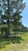 hagarschubert Altpins Profile Picture