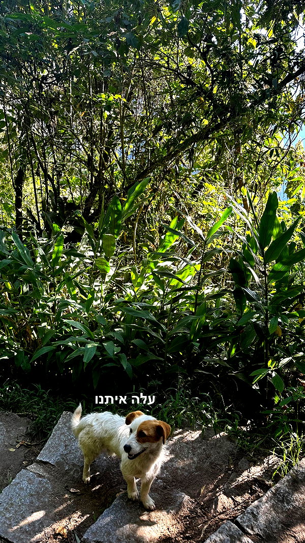 hagarschubert instagram image archive image