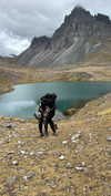 hagarschubert Altpins Profile Picture