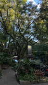 hagarschubert Altpins Profile Picture
