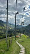 hagarschubert Altpins Profile Picture