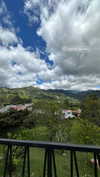 hagarschubert Altpins Profile Picture