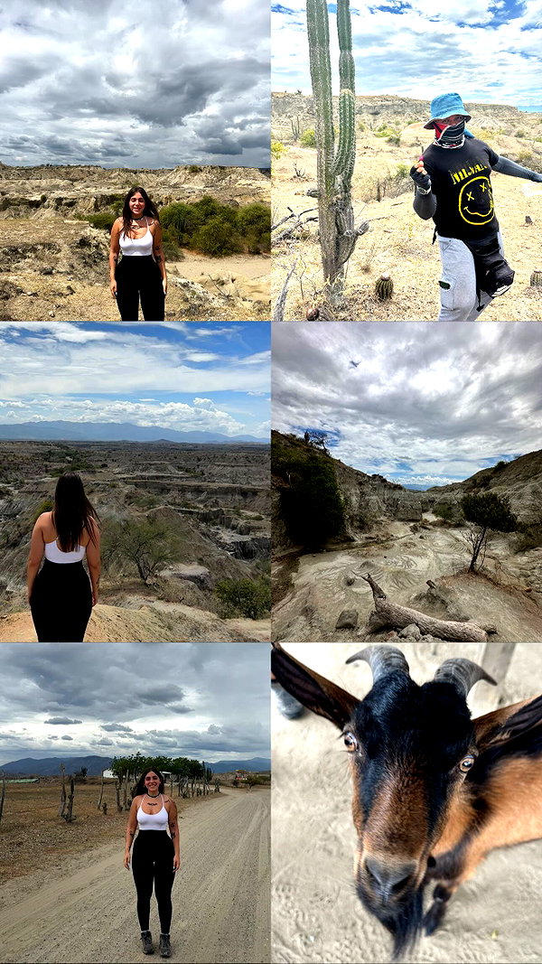 hagarschubert instagram image archive image