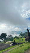 hagarschubert Altpins Profile Picture